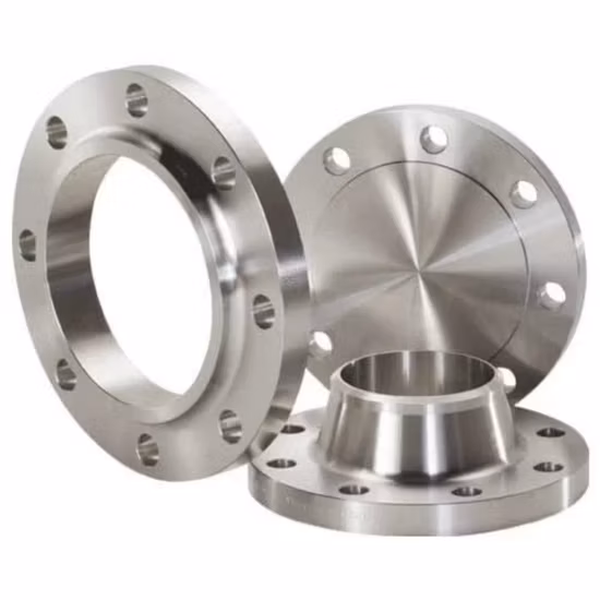 JIS ASME En1092 DIN GOST BS B16.5 ANSI Uni SABS ステンレス鋼 SS304 316L 溶接ネック フランジ